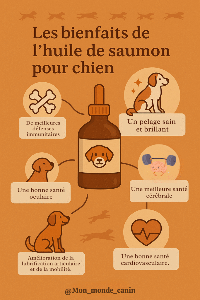 Les bienfaits prouvés de l’huile de saumon pour chien