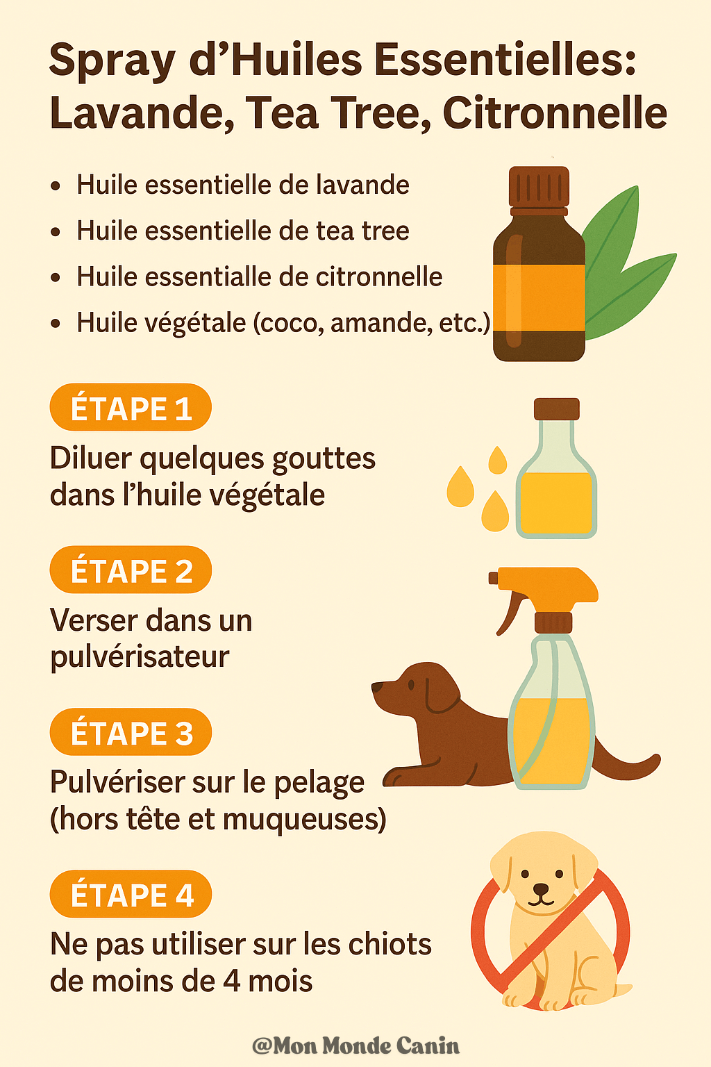 Infographie détaillant la préparation d’un spray répulsif naturel à base d’huiles essentielles (lavande, tea tree, citronnelle) diluées dans une huile végétale, avec instructions d’application sur le chien.